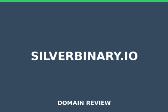 SILVERBINARY.IO review 2026 - Domain review placeholder image for silverbinary.io