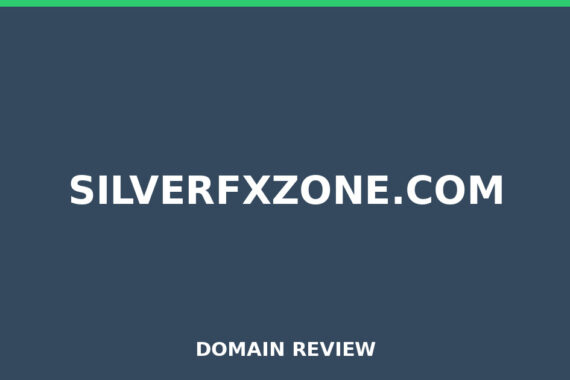 SILVERFXZONE.COM review 2026 - Domain review placeholder image for silverfxzone.com