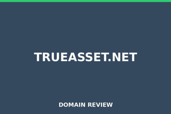TRUEASSET.NET review 2026 - Domain review placeholder image for trueasset.net