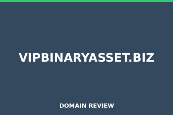 VIPBINARYASSET.BIZ review 2026 - Domain review placeholder image for vipbinaryasset.biz
