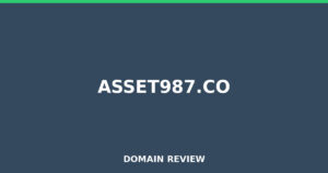 asset987.co Review 2026 – Detailed Analysis