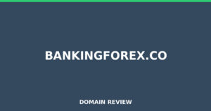 bankingforex.co Review 2026 – Detailed Analysis