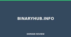 binaryhub.info Review 2026 – Detailed Analysis