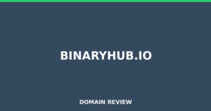 binaryhub.io 2026 Review – Legitimacy Check