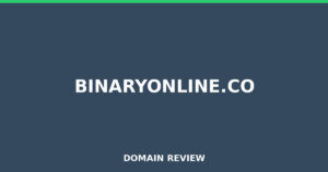 binaryonline.co 2026 Review – Legitimacy Check