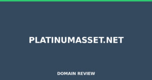 platinumasset.net Review 2026 – Detailed Analysis