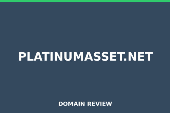 PLATINUMASSET.NET review 2026 - Domain review placeholder image for platinumasset.net