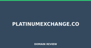 platinumexchange.co 2026 Review – Legitimacy Check