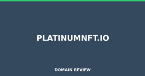 platinumnft.io Review 2026 – Detailed Analysis