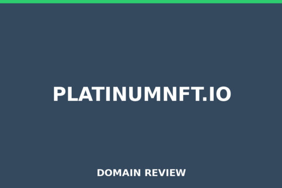 PLATINUMNFT.IO review 2026 - Domain review placeholder image for platinumnft.io