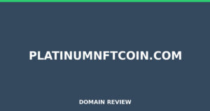 platinumnftcoin.com Review 2026 – Detailed Analysis
