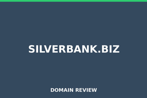 SILVERBANK.BIZ review 2026 - Domain review placeholder image for silverbank.biz