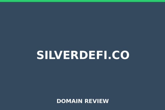 SILVERDEFI.CO review 2026 - Domain review placeholder image for silverdefi.co