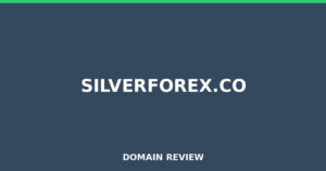 silverforex.co Review 2026 – Detailed Analysis
