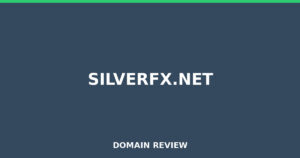 silverfx.net Review 2026 – Detailed Analysis