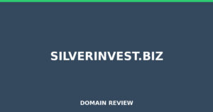 silverinvest.biz Review 2026 – Detailed Analysis