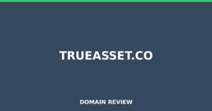 trueasset.co Review 2026 – Detailed Analysis