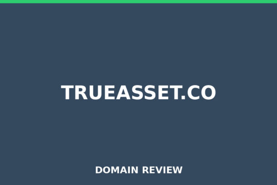 TRUEASSET.CO review 2026 - Domain review placeholder image for trueasset.co