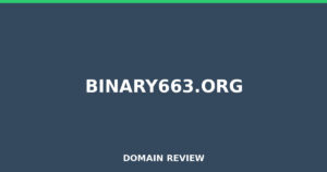binary663.org Review 2026 – Detailed Analysis