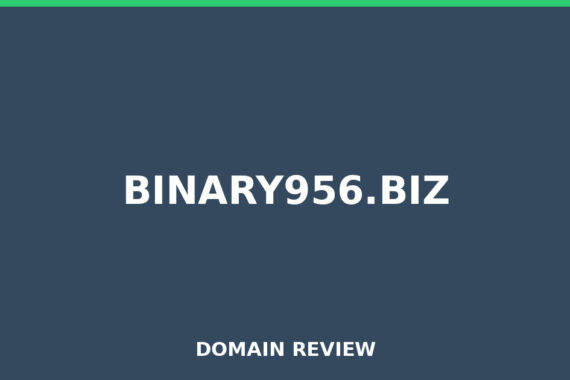BINARY956.BIZ review 2026 - Domain review placeholder image for binary956.biz