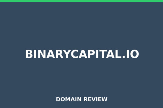 BINARYCAPITAL.IO review 2026 - Domain review placeholder image for binarycapital.io