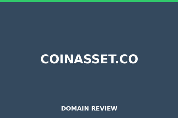 COINASSET.CO review 2026 - Domain review placeholder image for coinasset.co