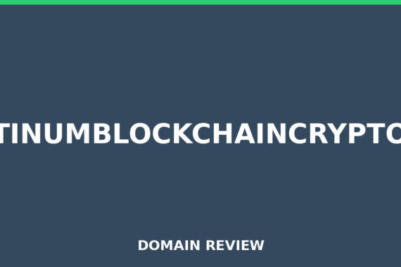 PLATINUMBLOCKCHAINCRYPTO.BIZ review 2026 - Domain review placeholder image for platinumblockchaincrypto.biz