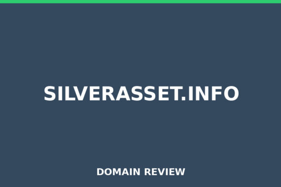 SILVERASSET.INFO review 2026 - Domain review placeholder image for silverasset.info
