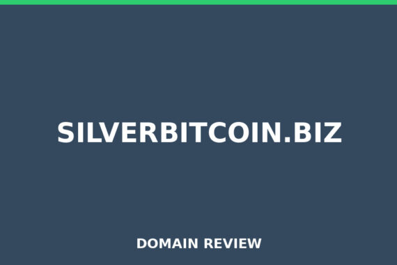 SILVERBITCOIN.BIZ review 2026 - Domain review placeholder image for silverbitcoin.biz