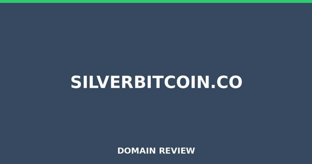 SILVERBITCOIN.CO review 2026 - Domain review placeholder image for silverbitcoin.co