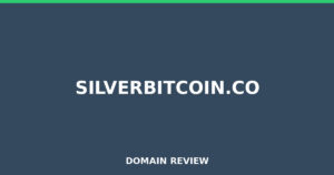 silverbitcoin.co Review 2026 – Detailed Analysis