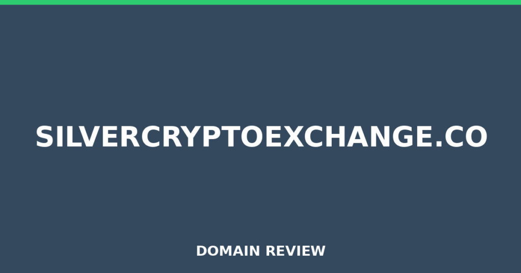 SILVERCRYPTOEXCHANGE.CO review 2026 - Domain review placeholder image for silvercryptoexchange.co