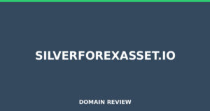 silverforexasset.io 2026 Review – Legitimacy Check
