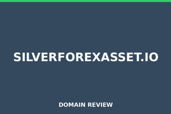 SILVERFOREXASSET.IO review 2026 - Domain review placeholder image for silverforexasset.io