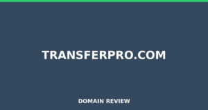 transferpro.com Review 2026 – Detailed Analysis