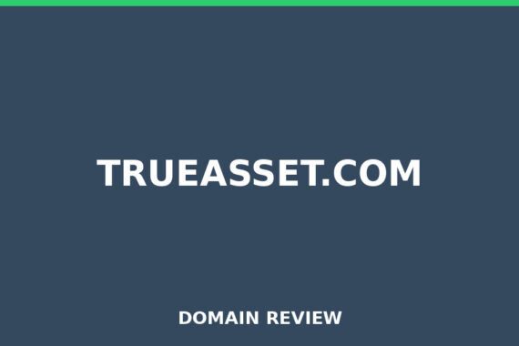 TRUEASSET.COM review 2026 - Domain review placeholder image for trueasset.com