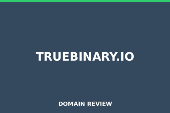 TRUEBINARY.IO review 2026 - Domain review placeholder image for truebinary.io