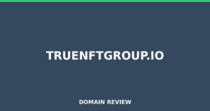 truenftgroup.io Review 2026 – Detailed Analysis