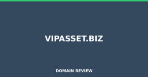 vipasset.biz Review 2026 – Detailed Analysis