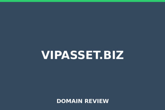 VIPASSET.BIZ review 2026 - Domain review placeholder image for vipasset.biz