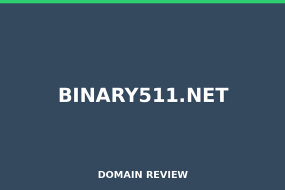 BINARY511.NET review 2026 - Domain review placeholder image for binary511.net