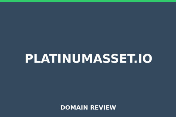 PLATINUMASSET.IO review 2026 - Domain review placeholder image for platinumasset.io