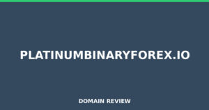 platinumbinaryforex.io 2026 Review – Legitimacy Check
