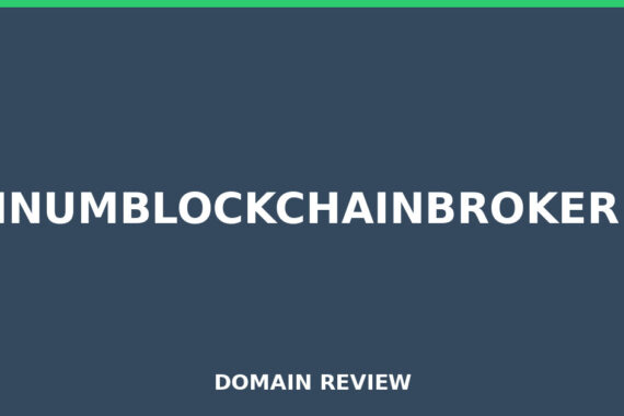 PLATINUMBLOCKCHAINBROKER.INFO review 2026 - Domain review placeholder image for platinumblockchainbroker.info
