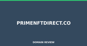 primenftdirect.co Review 2026 – Detailed Analysis
