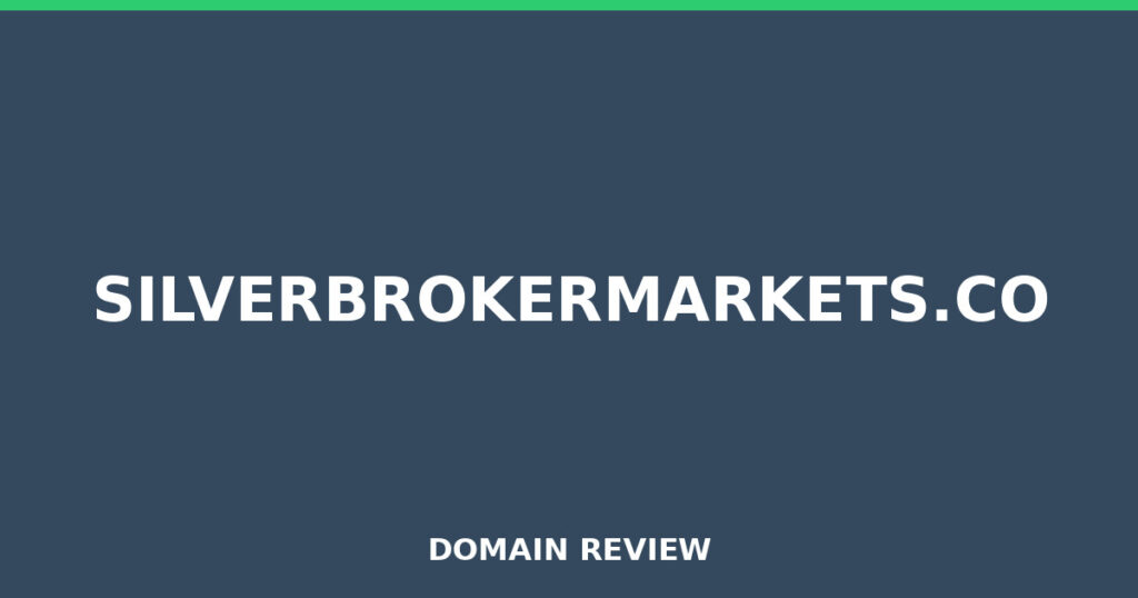 SILVERBROKERMARKETS.CO review 2026 - Domain review placeholder image for silverbrokermarkets.co