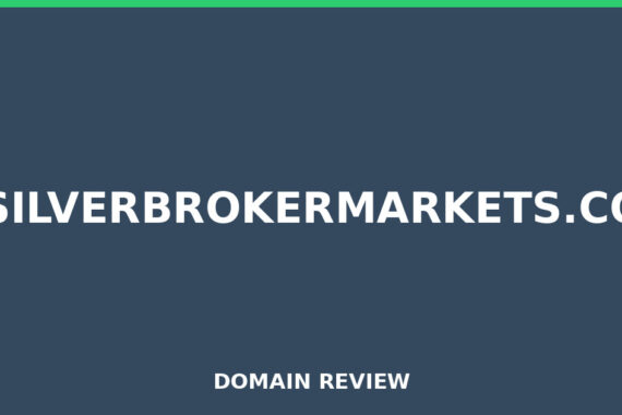 SILVERBROKERMARKETS.CO review 2026 - Domain review placeholder image for silverbrokermarkets.co