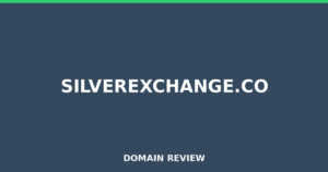 silverexchange.co Review 2026 – Detailed Analysis