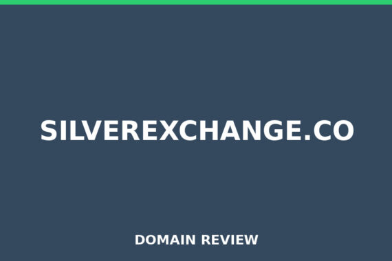 SILVEREXCHANGE.CO review 2026 - Domain review placeholder image for silverexchange.co