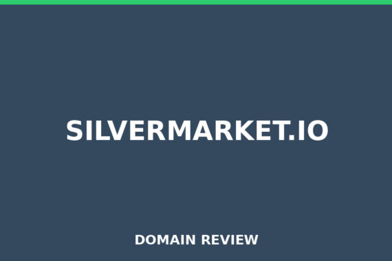 SILVERMARKET.IO review 2026 - Domain review placeholder image for silvermarket.io
